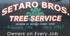 Setaro Construction Corp logo