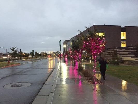 Lighting it up for "Breast Health Awareness Month"