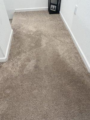 Super Clean Carpet Cleaning