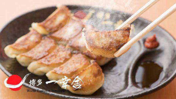 Ikkousha Hitokuchi Gyoza. Size is designed to eat in one bite with ramen