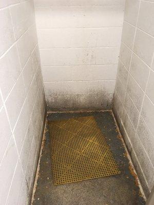 This is one of the shower stalls. Mold growing up the walls.