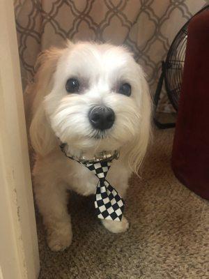 Luca after first groom with Tracy !! So handsome.