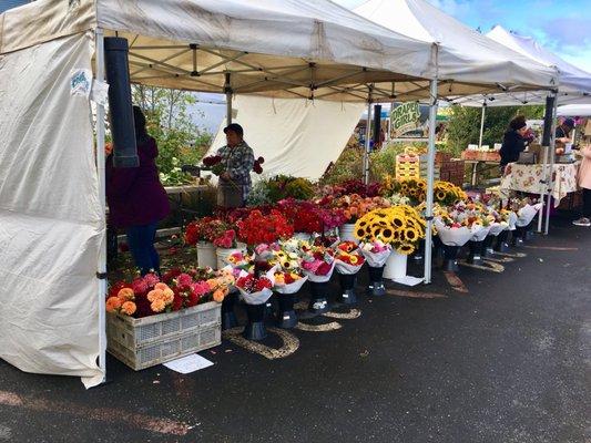 King Farmers Market