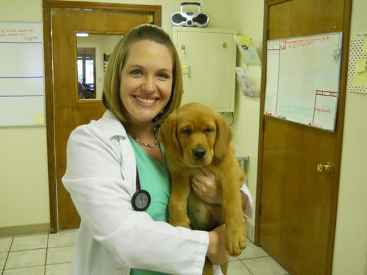 Dr McLaughlin and Cute Dog. Veterinarian at White Oaks West Animal Hospital in Springfield Illinois