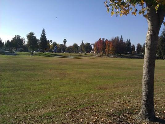 Grassy area for playing games