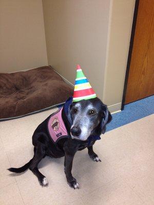 This is Nixon, she was our therapy dog until she passed away. She provided lots of comfort to our patients. She is greatly missed!