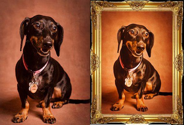 A Pet Portrait: A painting of your favorite furr-baby (L - camera capture, R - a finished framed painting)