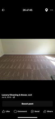 Carpet cleaning