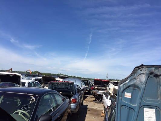 Vehicles in the lot as far as you can see!