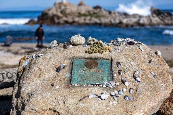 Pacific Grove Marine Gardens Park