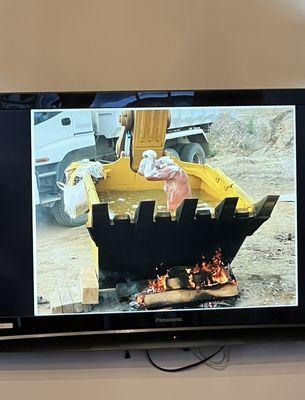 Dining area tv featuring meme slideshow- this one showing a man bathing in a forklift.