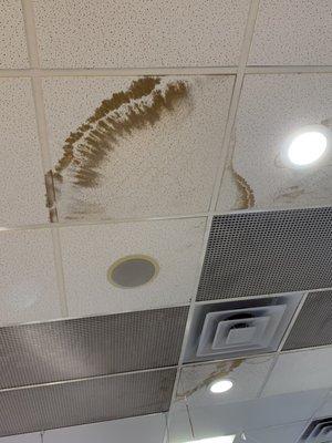 Dirty water damage on ceiling goes to show how filthy the store really is