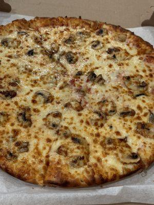 Mushroom and extra cheese pizza