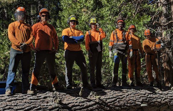 Pacific Slope Tree Company