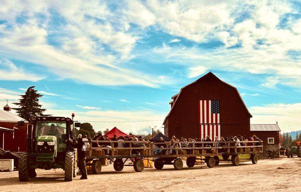 Daily Hayrides 10am-5:30pm!