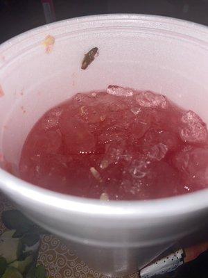 Aqua de Sandia with cockroach