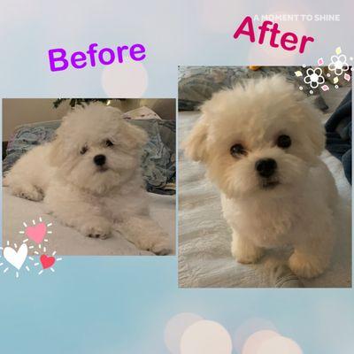 My sweet Lani's first haircut (I love the shampoo scent they used too!)