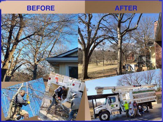 Before and After pictures of actual tree trimming work performed by Noel's Tree Services on March 16, 2019 at The Wallace Ranch.