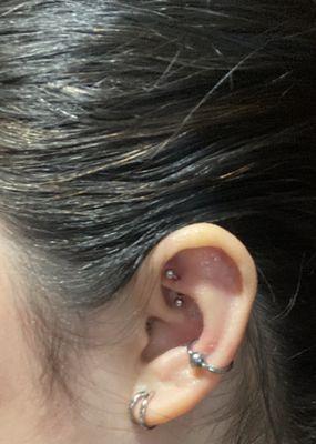 Conch and rook piercing