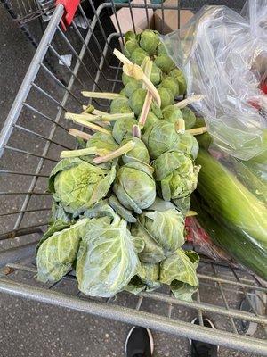 $3.99 Brussel sprout stock