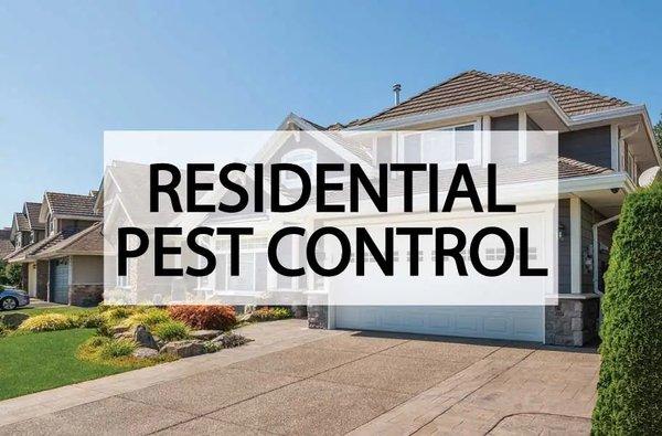 Residential Pest Control: Protect your home and loved ones from unwanted pests.