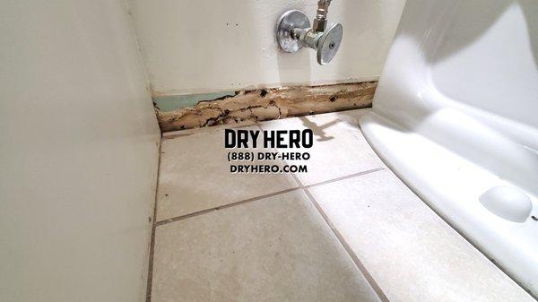 bathroom water damage to walls from toilet in Lincoln NE