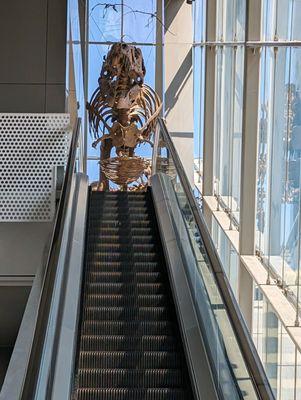 What awaits at the top of the escalators. LOL