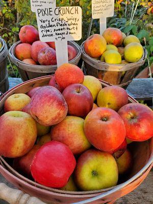 Apples, all no spray!