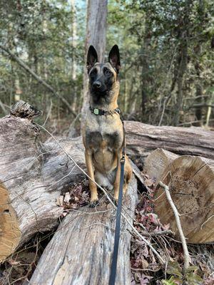 Jett wondering when she gets to go to Jungle Jim's again.