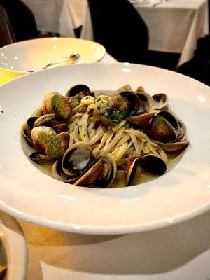 Linguine and clams ( white sauce)