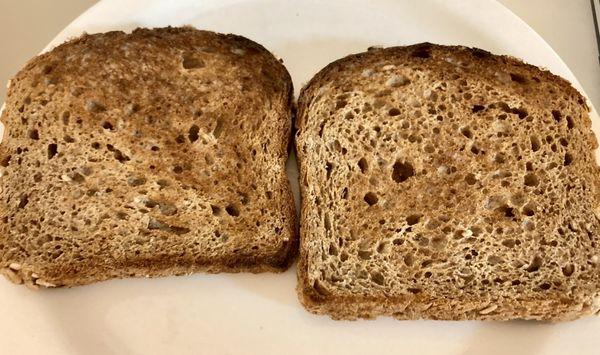 My last Bread Alone Catskill breakfast. My Scout Snoopy said he is going to check here! 11/27/23