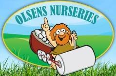 Olsen's Nursery