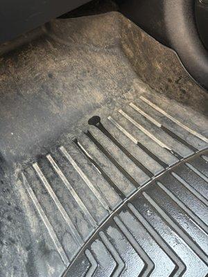 My floor mats that were supposedly shampooed.