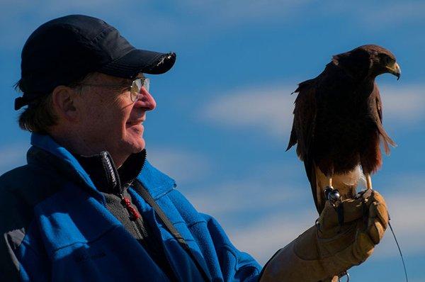 "Gallery Director with Harris's Hawk"
 © 2015 Madeline Catania