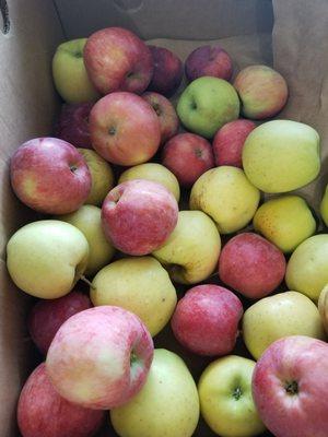 10 different varieties of apples available