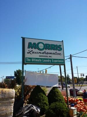 Morris Laundromation