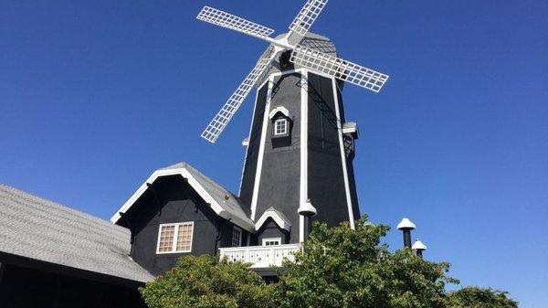 Carlsbad Windmill by Wedgewood Weddings