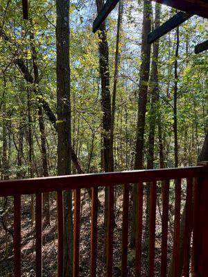 View from the back deck