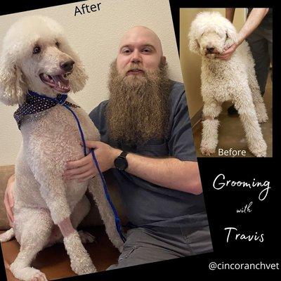 Grooming with Travis at Cinco Ranch Vet