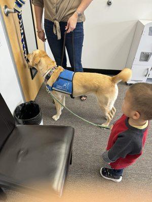 My son with his favorite speech therapist Jennifer and caring dog Frances