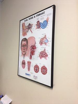 Diagrams in the treatment room