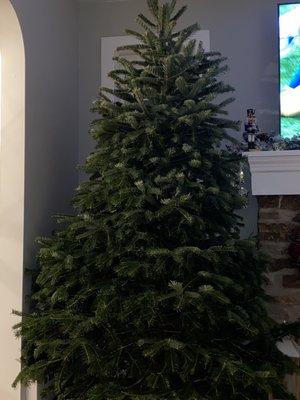 Christmas Tree, lol