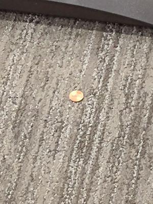 I'm looking on the floor and see this penny. Is this a sign my husband is with me? Lol