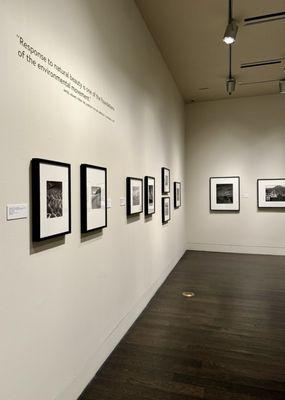 Ansel Adams & His Legacy exhibit