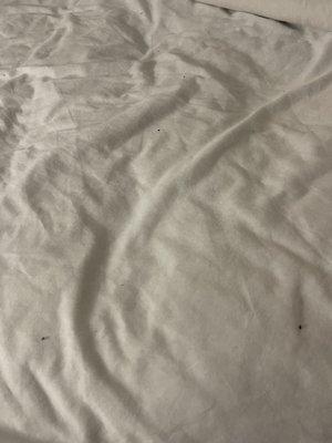 Dirty sheets when I pulled back the covers