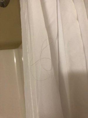 Hair on the shower curtain when we checked in