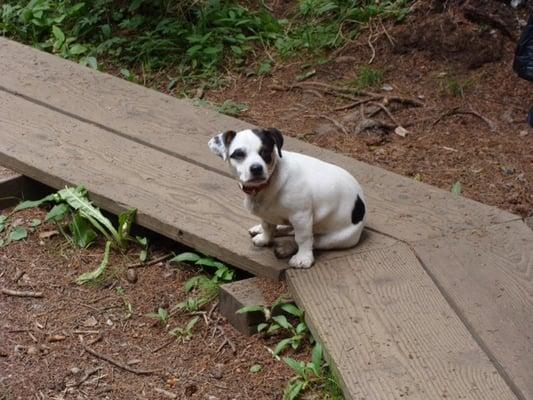 Enjoying a hike after being checked out for the day!