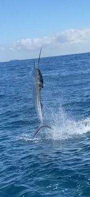 Ham'r Time Sport Fishing Charter