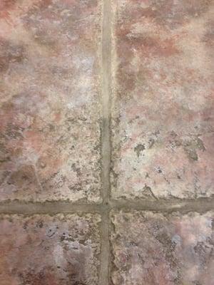 Before and After Tile Cleaning