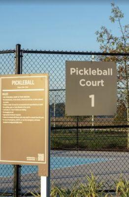 Pickle ball